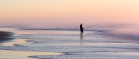 Fraser Island Fish